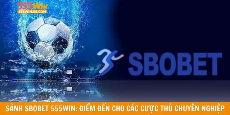Sảnh Sbobet 555win: Điểm đến cho các cược thủ chuyên nghiệp